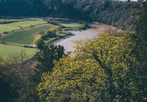 Campaigner Angela Jones to give evidence to MPs on state of rivers