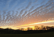 Picture This: First signs of Spring in video!