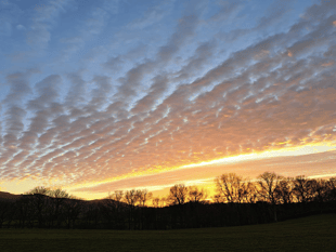 Picture This: First signs of Spring in video!