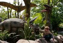 This is Mid Wales: Places to go this half-term in Powys!