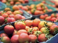Morrisons and Aldi stores in Brecon introduce cap on fruit and veg