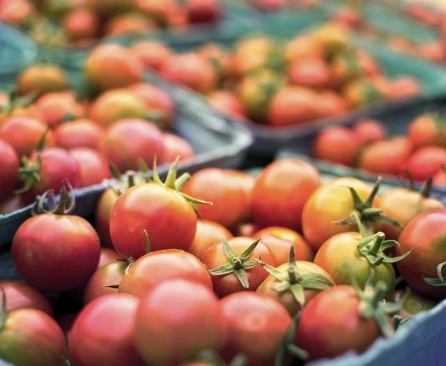 Morrisons and Aldi stores in Brecon introduce cap on fruit and veg