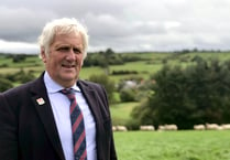 Increase in lamb imports should serve as a stark warning, says FUW