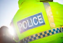 Brecon woman admits vehicle thefts and police assault