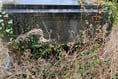 Letter: Brecon war hero’s grave is a disgrace