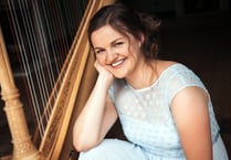 Popular harp summer school to run for 11th year