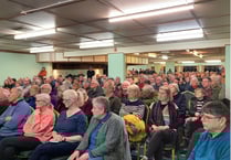 MP Fay Jones speaks out against pylon plans
