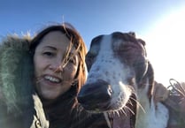 Jane Dodds welcomes Welsh Government moves to examine Greyhound Racing
