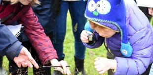 Register your church for a wildlife count this summer 