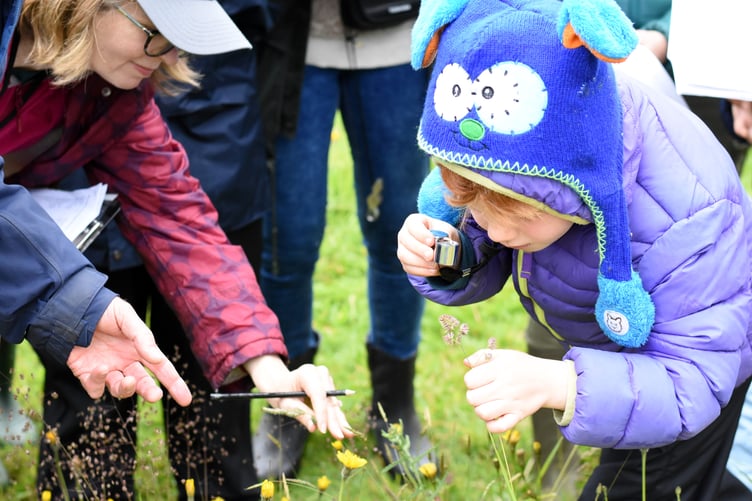 Caring for God's Acre