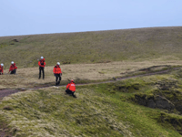 Dog survives after 200-foot fall in the Beacons