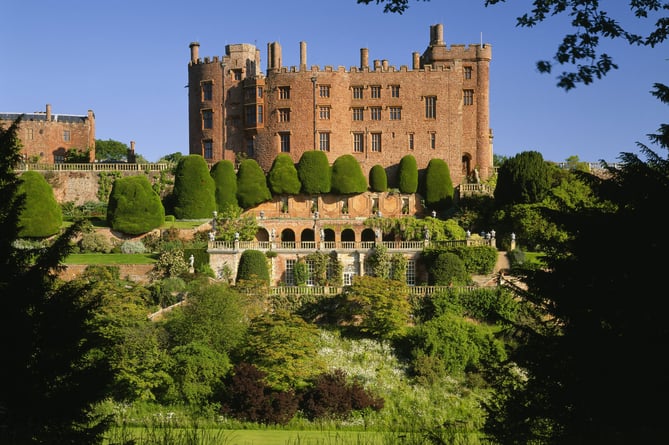 View of Powis Castle from the Wilderness. The Wilderness was brought into the garden and the deer fenced out in the 19th century. The clipped yews and terraces may be seen beyond.
