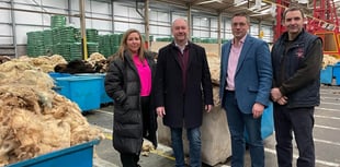 Wonders of Welsh wool highlighted to Plaid MS at Brecon depot 