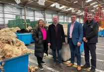 Wonders of Welsh wool highlighted to Plaid MS at Brecon depot 