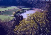 River pollution puts Powys housing plans at risk