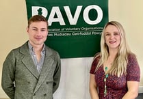 Former county councillor announced as PAVO CEO
