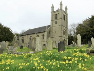 VIDEO: Picture This - Spring photographs!