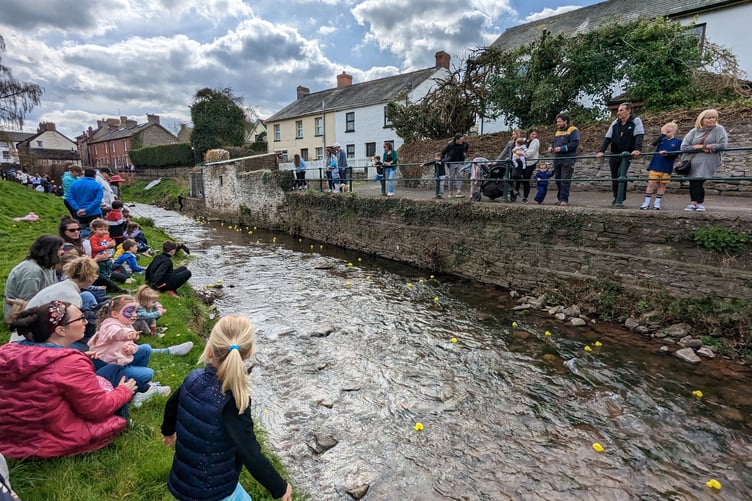 Talgarth Duck Race