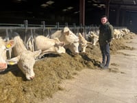 Travel the world and study red meat production with HCC Scholarship