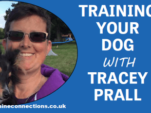 Training your dog - with Tracey Prall
