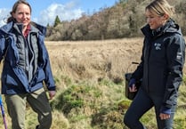 Endangered Freshwater Pearl Mussel surveyed in River Irfon