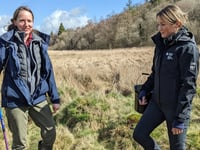 Endangered Freshwater Pearl Mussel surveyed in River Irfon