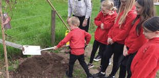 Seven trees planted in Vale of Grwyney to create new Jubilee Walk