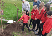 Seven trees planted in Vale of Grwyney to create new Jubilee Walk