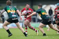 Llandovery reach Premiership final with nail-biting victory