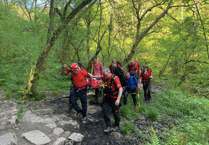 Walker rescued after sustaining ankle injury near Craig y Fan Ddu