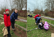 Clyro School helps plant 100 new woodlands in Wales