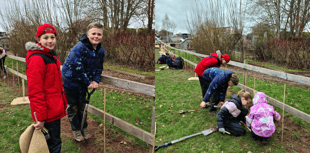 Clyro School helps plant 100 new woodlands in Wales