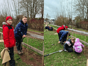 Clyro School helps plant 100 new woodlands in Wales