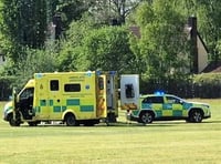 Defib saves life on cricket pitch