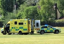 Defib saves life on cricket pitch