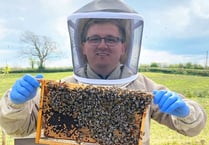 'Healthy Bees Academy' to be launched at Llanelwedd this weekend