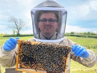 'Healthy Bees Academy' to be launched at Llanelwedd this weekend