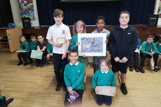 Draw a Curlew Competition
