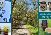 Elan Valley to mark Celtic Rainforest Project with Woodland Fair