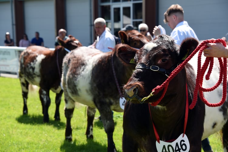 Royal Welsh Showground 2023