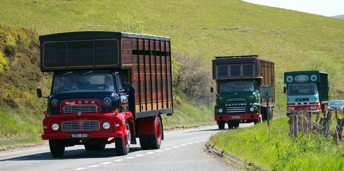 A group of stock lorries pound down the Mid Wales tarmac