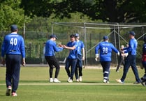 Double defeat for Brecon cricketers