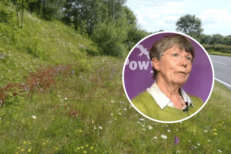 Cllr Jackie Charlton and biodiversity