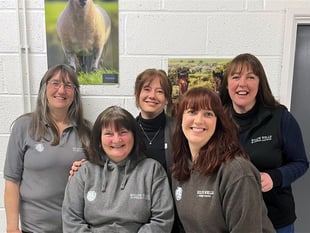 Intrepid Builth Vets team to take on 26-mile charity challenge