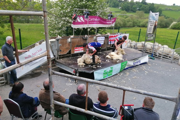Llanbister Show - speed shearing
