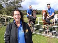 Retirement haven for horses nominated for national award