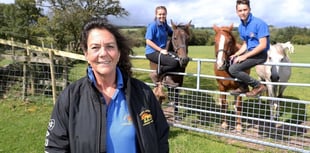 Retirement haven for horses nominated for national award