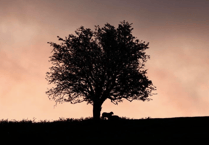 VIDEO: Picture This - Best of spring images!