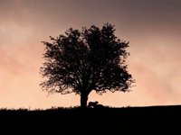 VIDEO: Picture This - Best of spring images!
