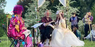 Heartwarming music festival and vow renewal ceremony for wife's cancer treatment